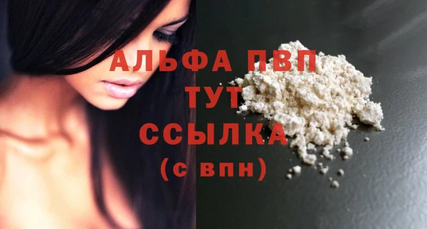 сатива Абаза